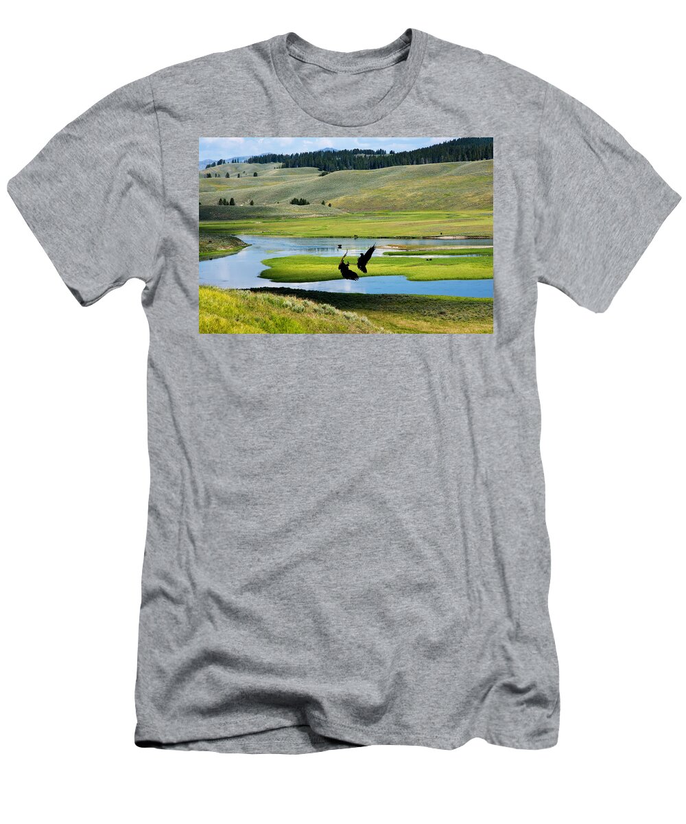 Eagles T-Shirt featuring the photograph Training Ground Eagles by Randall Branham