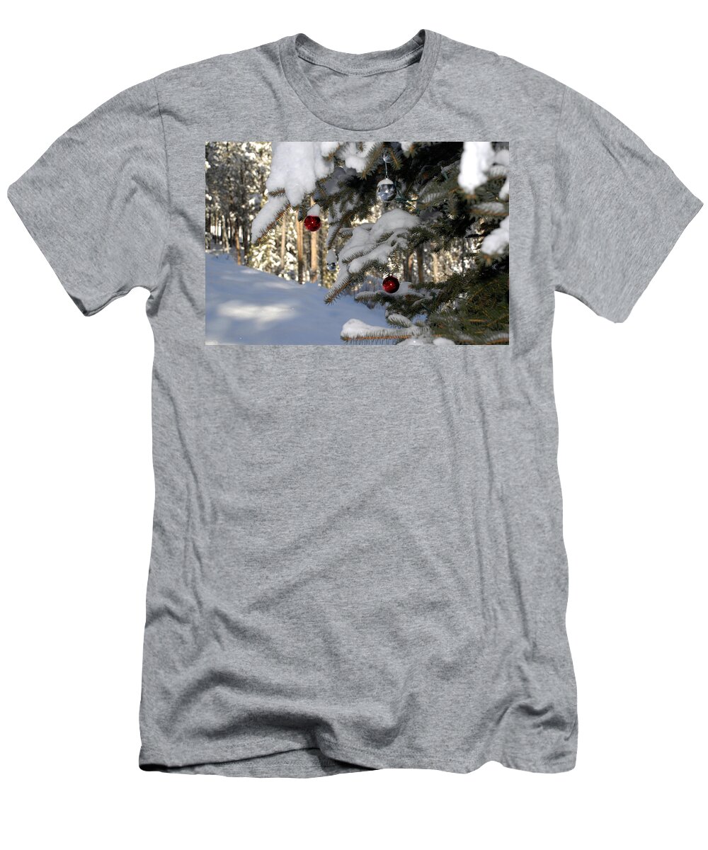 Pine Trees T-Shirt featuring the photograph Tree Bulbs by Matt Swinden