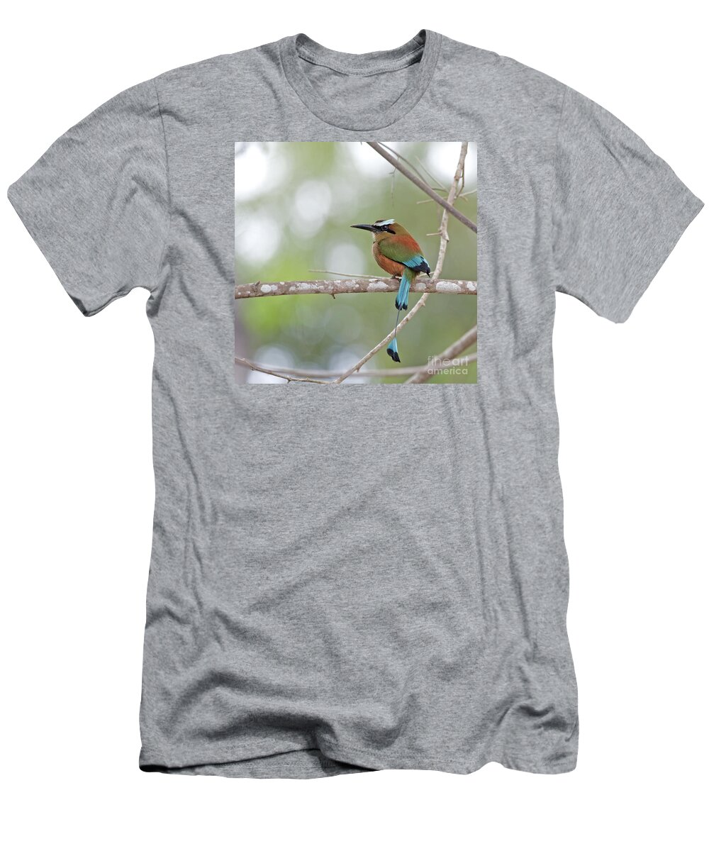 Turquoise-browed Motmot T-Shirt featuring the photograph Turquoise Pendant.. by Nina Stavlund