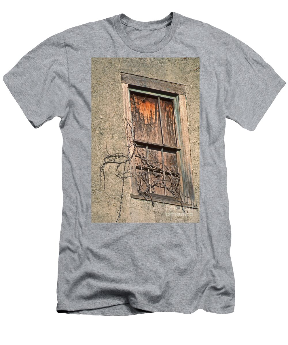 Scenic Tours T-Shirt featuring the photograph View From Without by Skip Willits
