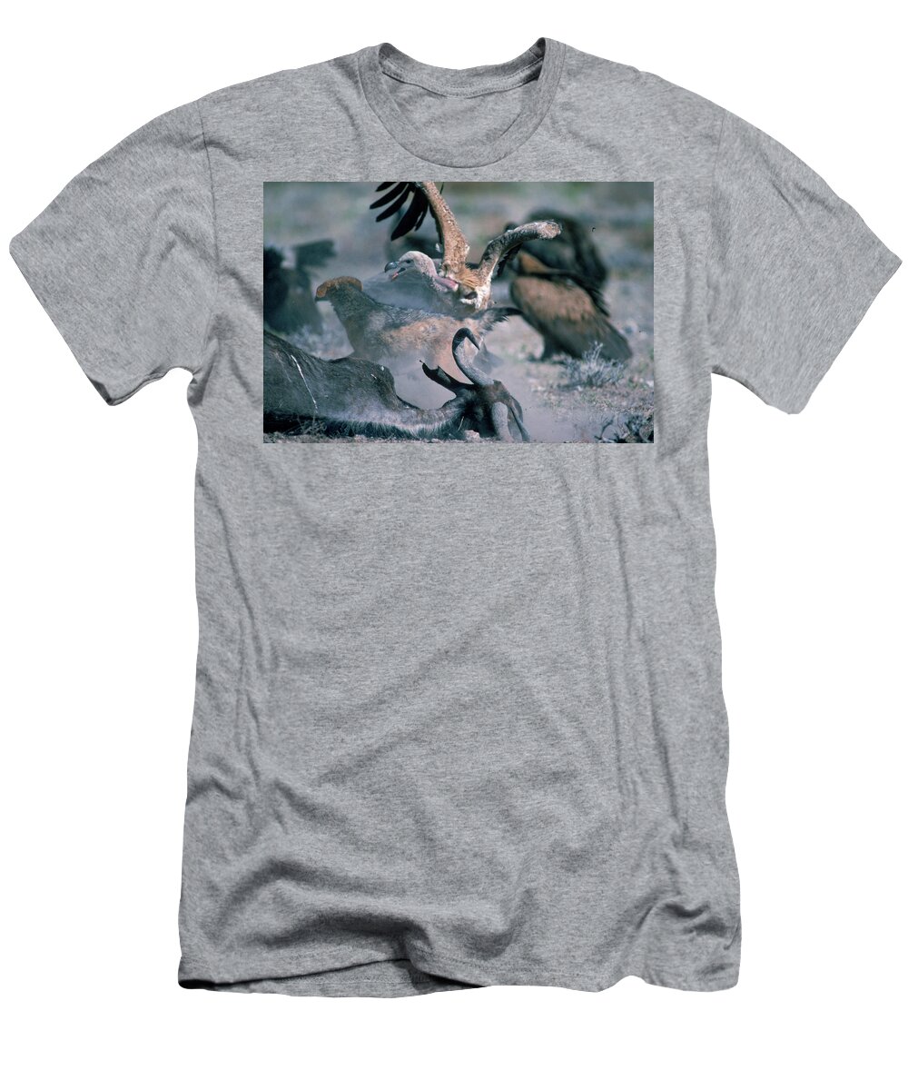 Animals T-Shirt featuring the photograph Vultures And Black Backed Jackal by Robert Caputo