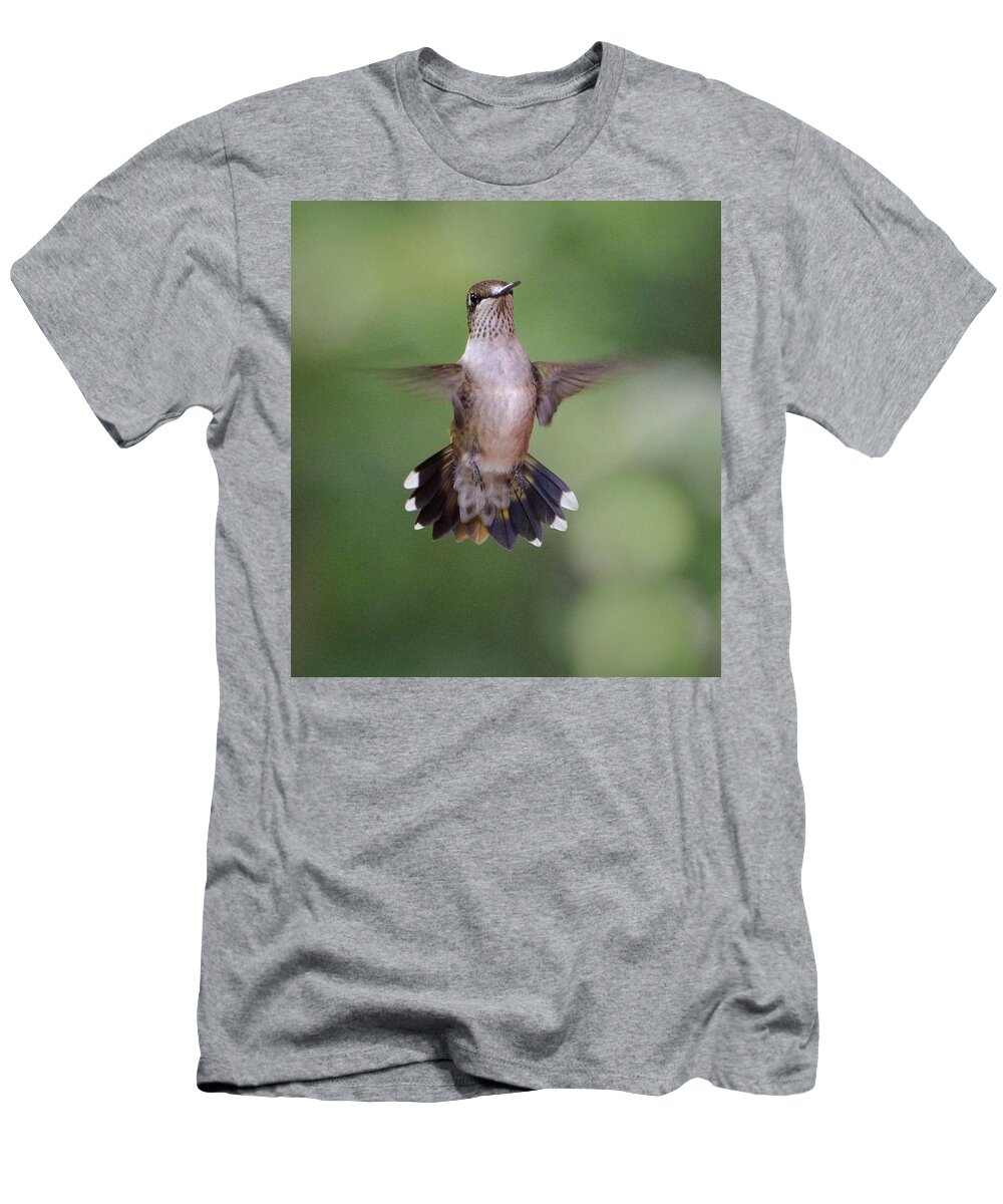 Hummingbird T-Shirt featuring the photograph Waiting for a Turn by Amy Porter