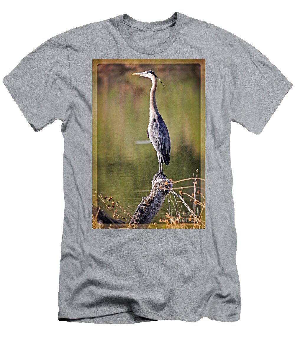 Birds T-Shirt featuring the photograph Watchful Heron by Bob Hislop