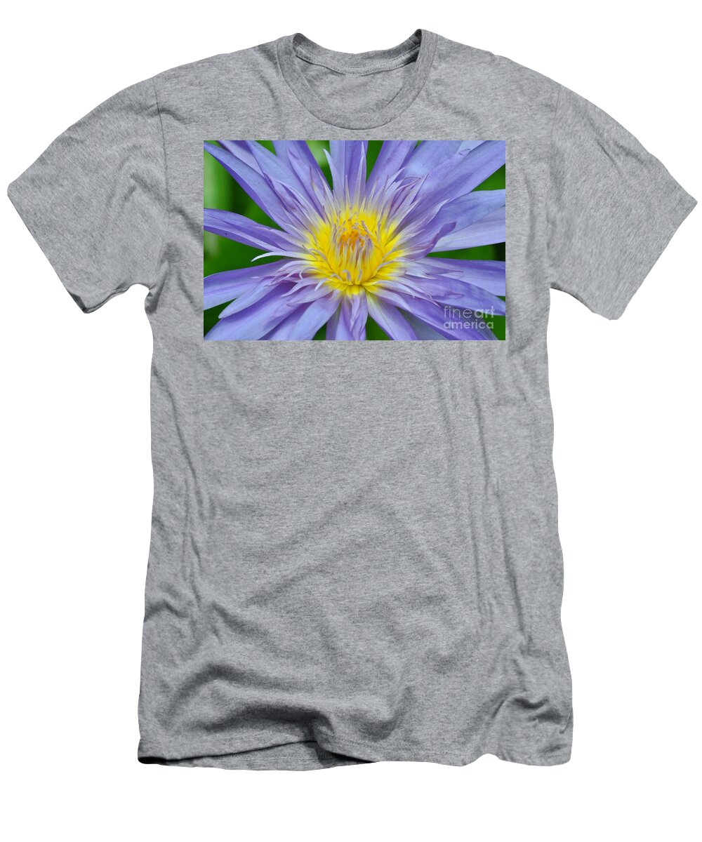 Water Lillies T-Shirt featuring the photograph Water Lily 16 by Allen Beatty