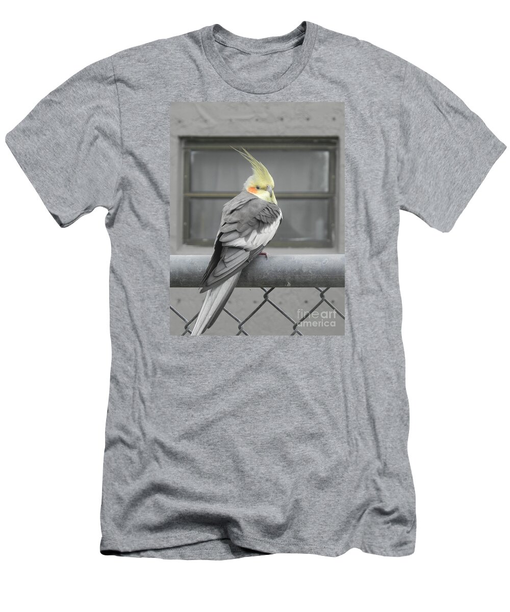 Photography T-Shirt featuring the photograph What Window by Chrisann Ellis