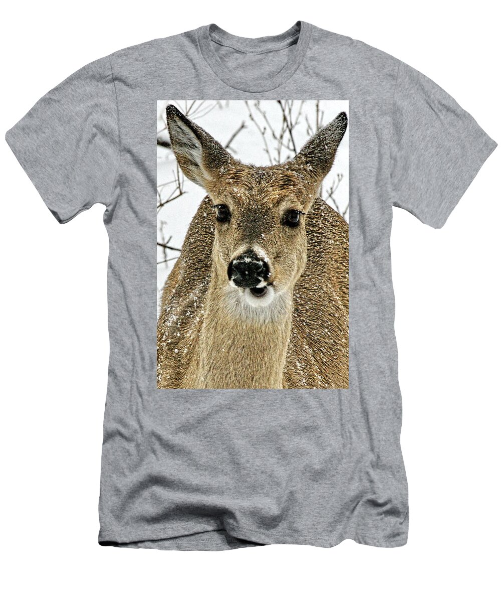 Deer T-Shirt featuring the photograph Whats Up Doc? by Alan Hutchins