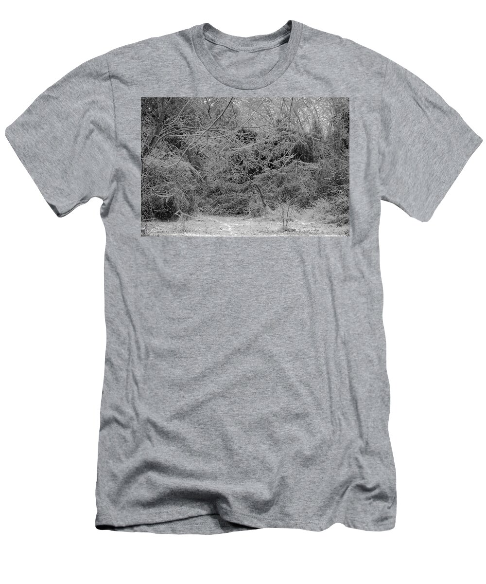 Ice T-Shirt featuring the photograph Where Is The Trail by Daniel Reed