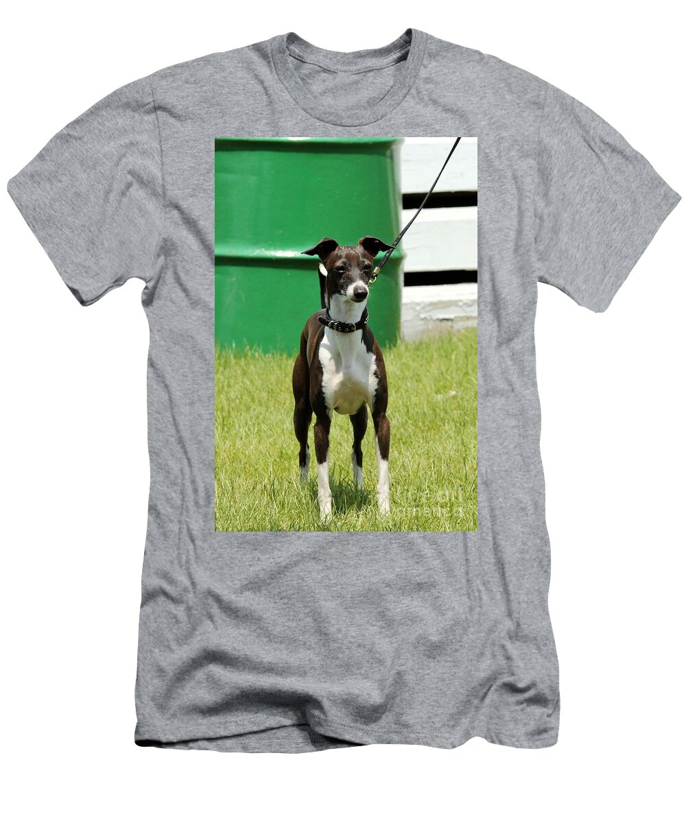 Dog T-Shirt featuring the photograph Whippet Horse Show Dog by Janice Byer
