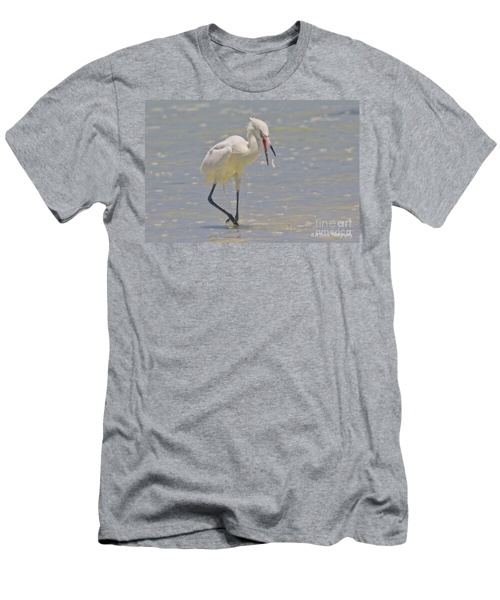 Reddish Egret T-Shirt featuring the photograph White morph Reddish Egret fish toss by Barbara Bowen