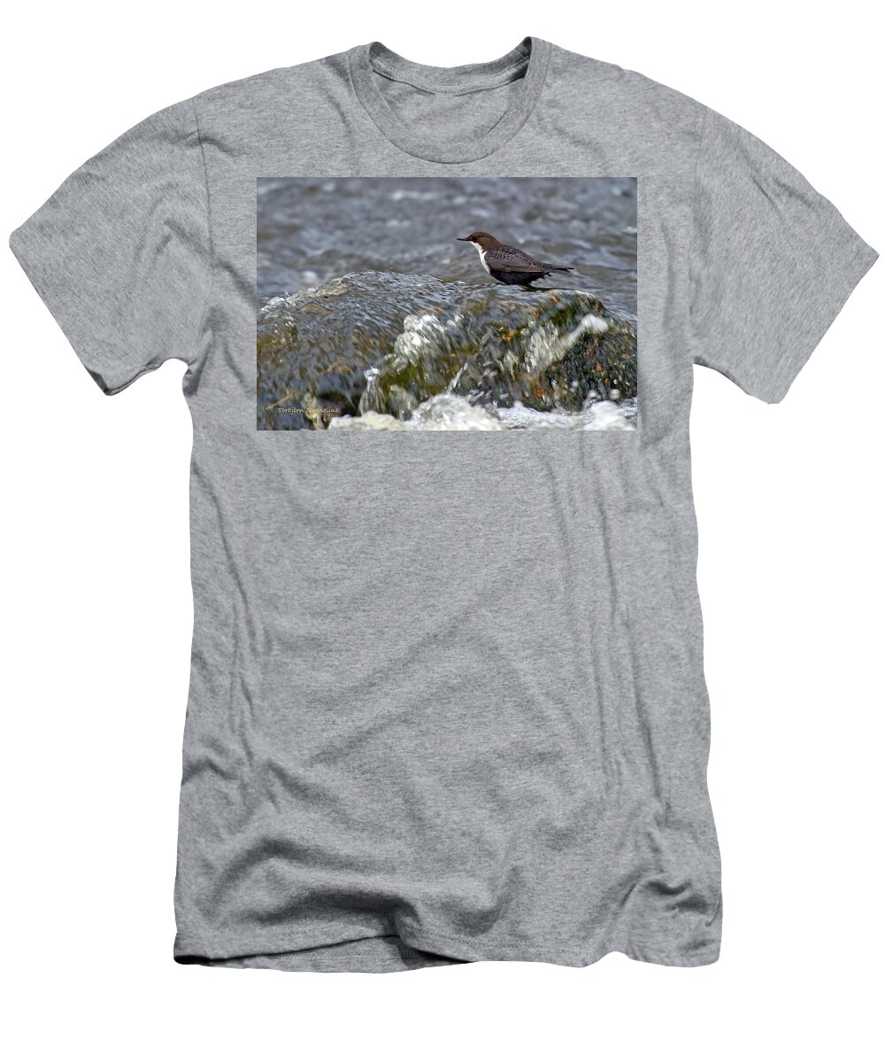 White-throated Dipper T-Shirt featuring the photograph White-throated Dipper by Torbjorn Swenelius