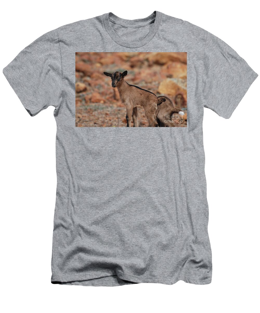 Goat T-Shirt featuring the photograph Wild Baby Goat by DejaVu Designs