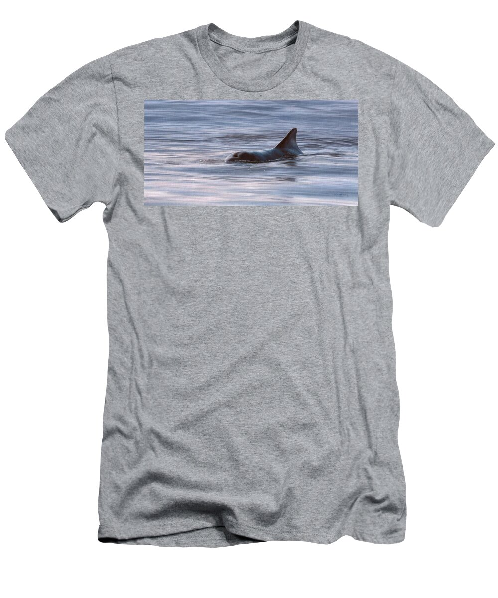 Bottlenose Dolphin T-Shirt featuring the painting Wild Bottlenose Dolphin Painting - In Support of the Sea Shepherd Conservation Society by Rachel Stribbling