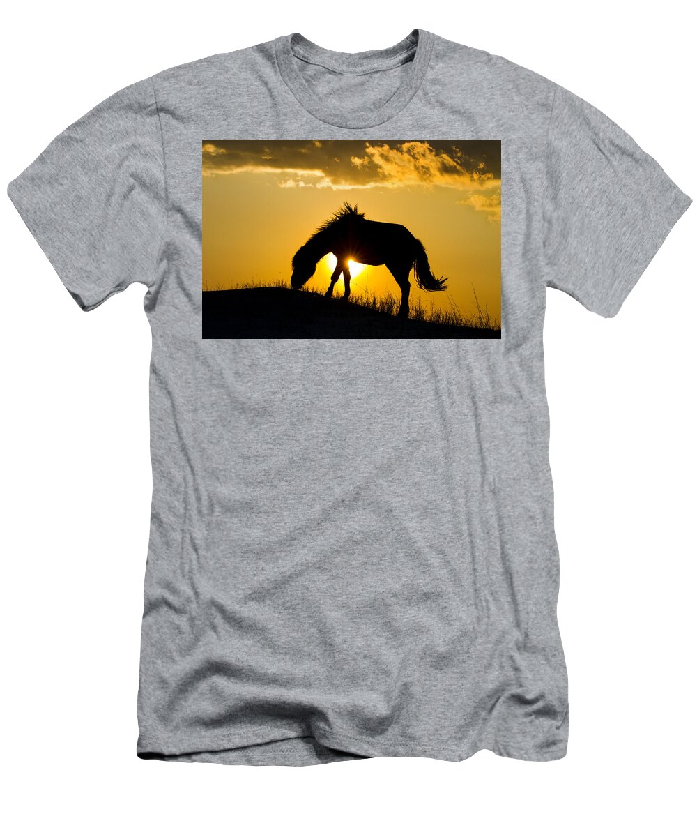 Horse T-Shirt featuring the photograph Wild Horse and Setting Sun by Bob Decker