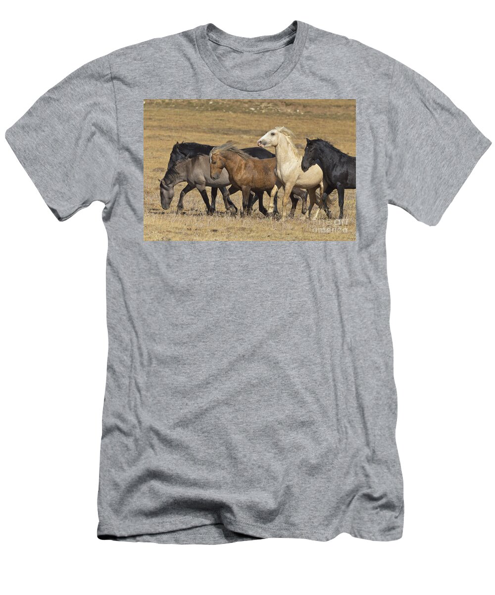 00537206 T-Shirt featuring the photograph Wild Stallion Herd Pryor Mountain by Yva Momatiuk and John Eastcott