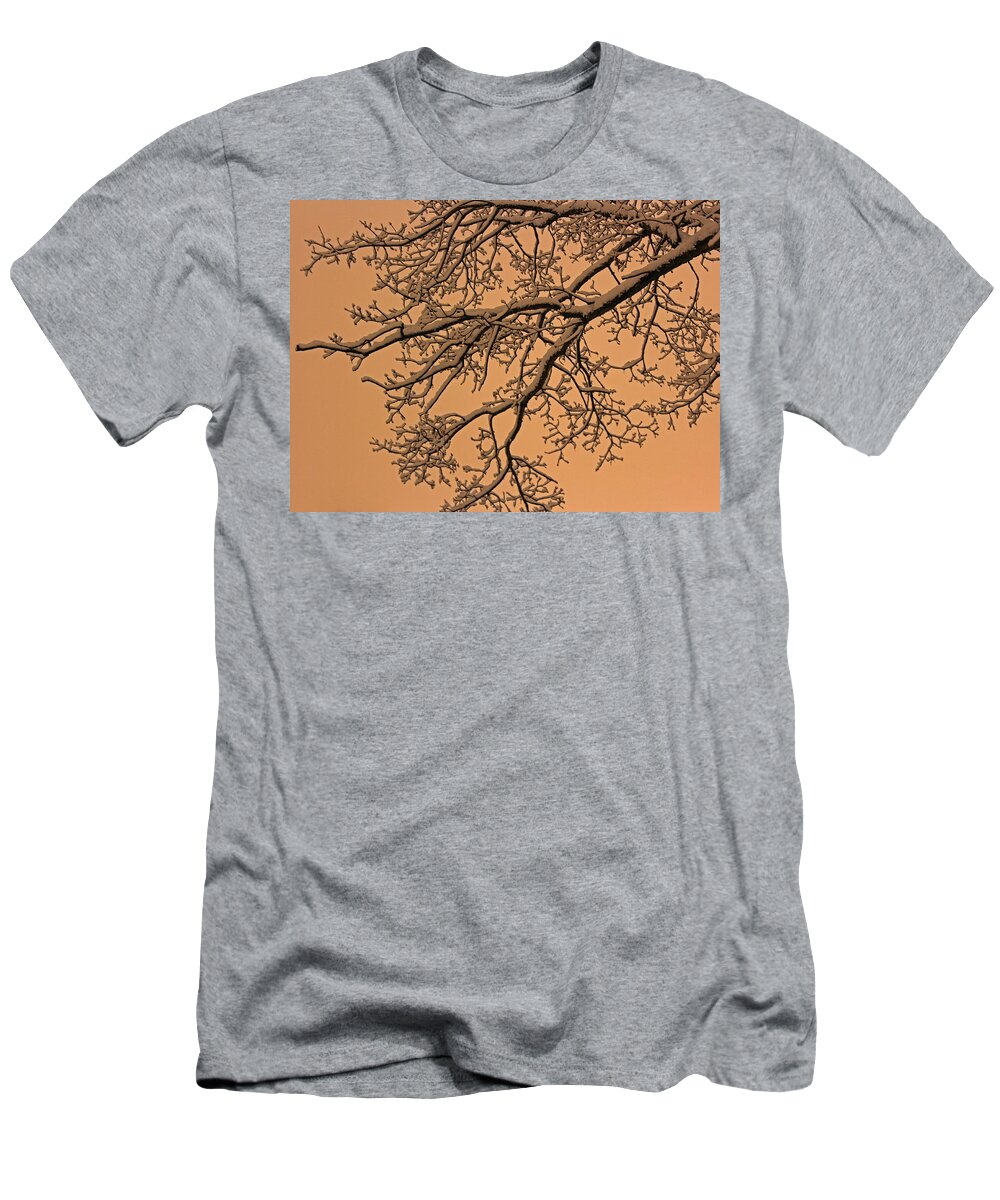 Winter T-Shirt featuring the photograph Winter Glow by Angie Schutt