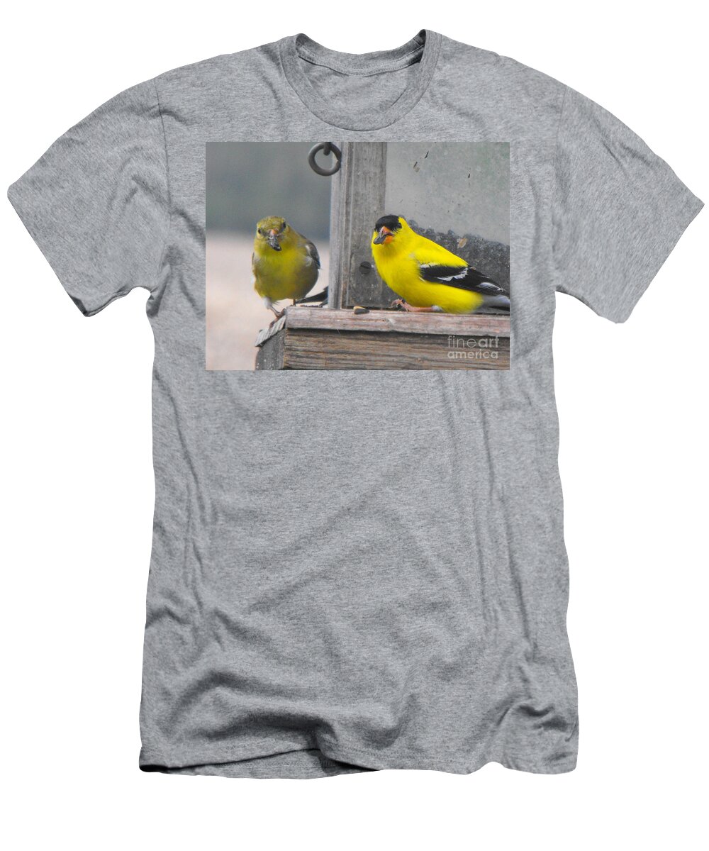 Canary T-Shirt featuring the photograph Yellow Birds by Erick Schmidt