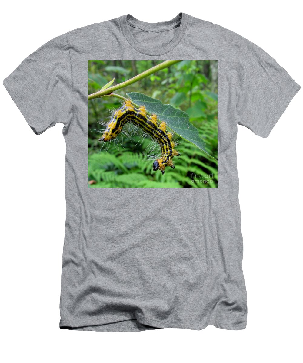 Insects Of North America Yellow Necked Caterpillar Black And Yellow Striped Caterpillars Of Applachia Entomology Natural Science Preserve Biodiversity Pennsylvania Caterpillars Endangered Ecosystems Oldgrowth Forest Wild Meadows Colorful Critters Forest Creatures Of The Woods Arboreal Entities Woodland Beings Wild Life In The Trees Flora And Fauna Of Appalachia T-Shirt featuring the photograph Yellow Necked Caterpillar by Joshua Bales