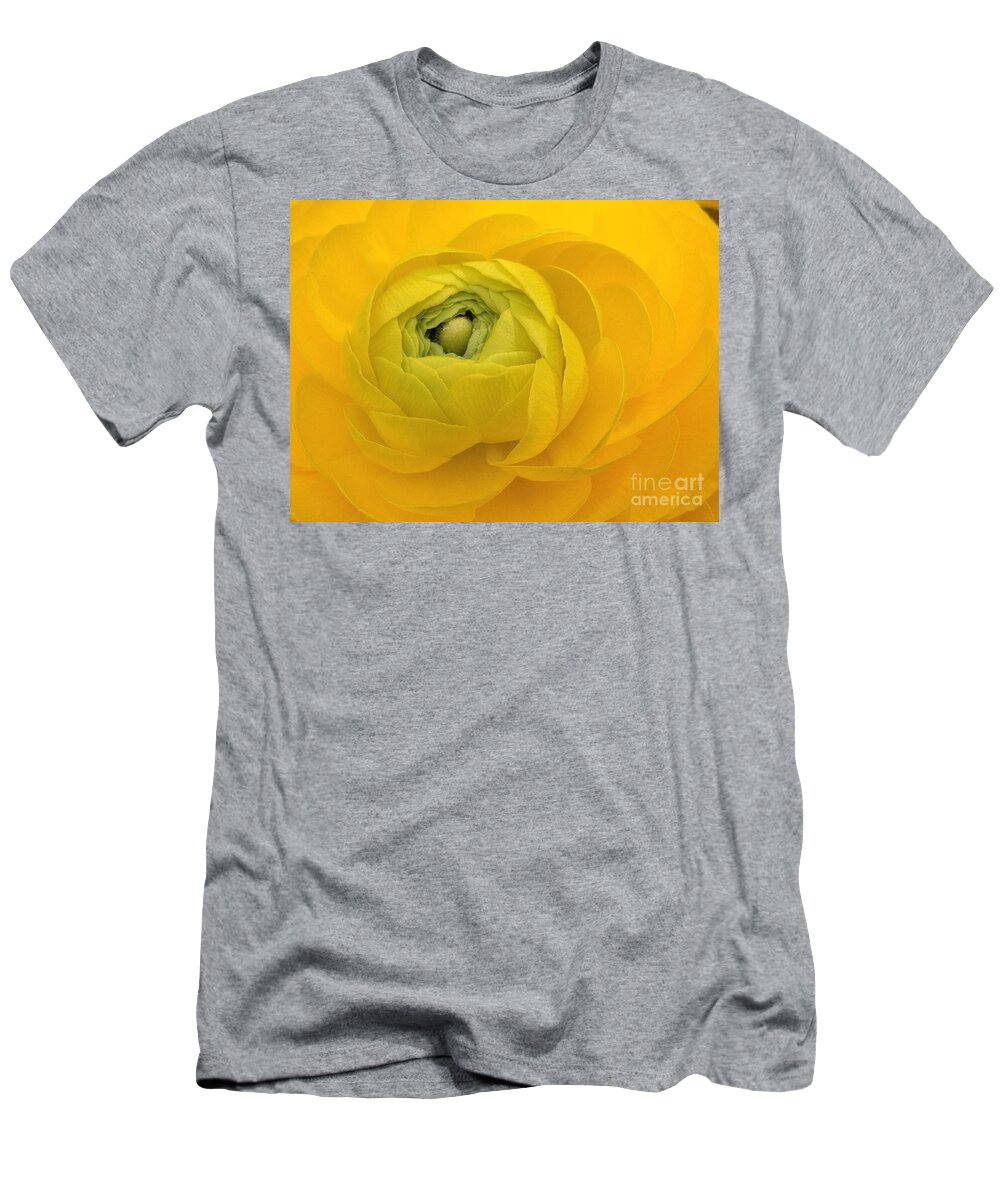 Yellow T-Shirt featuring the photograph Yellow Ranunculus by Jacklyn Duryea Fraizer
