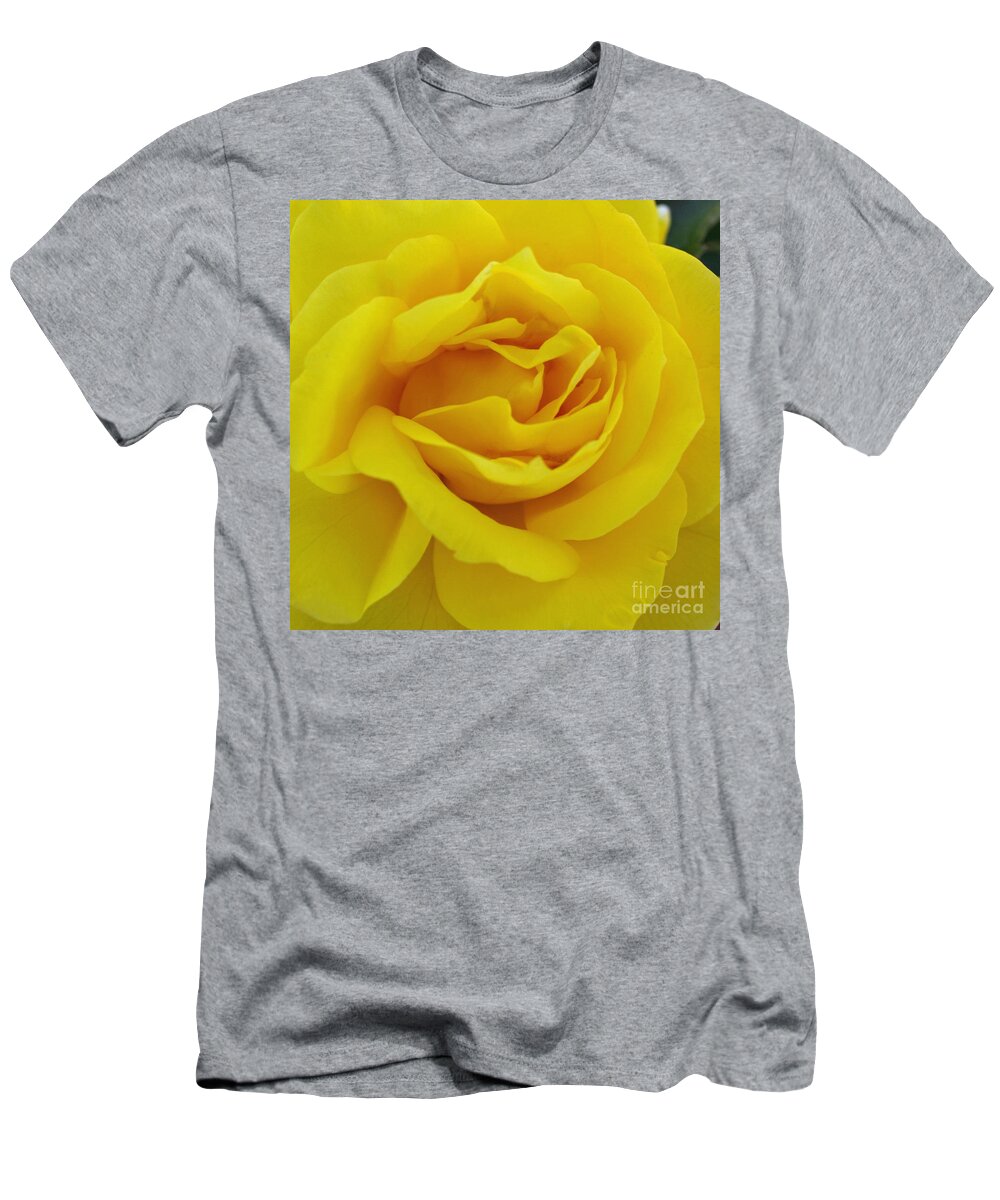 Beautiful T-Shirt featuring the digital art Yellow Rose by Jacklyn Duryea Fraizer