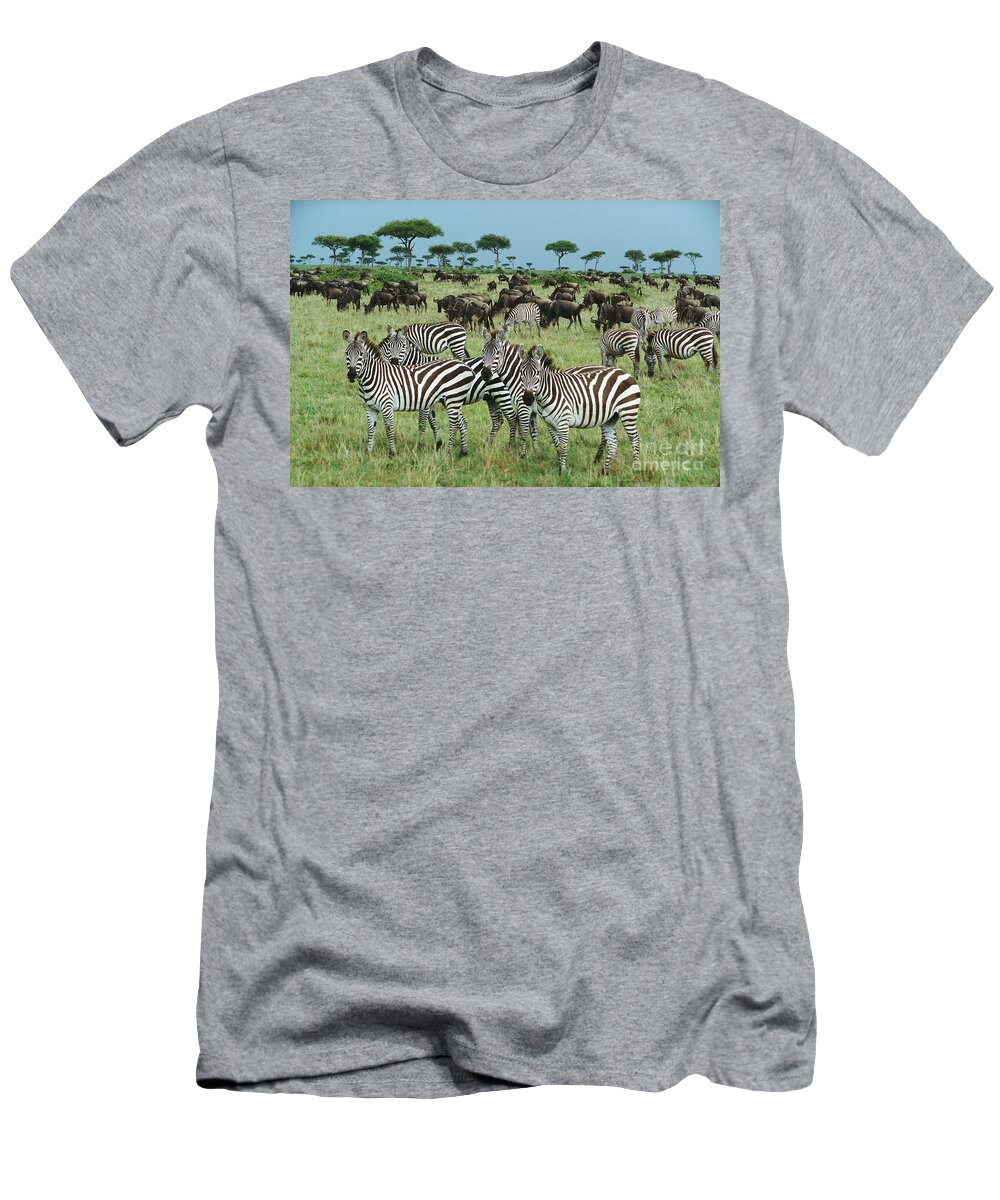 00344933 T-Shirt featuring the photograph Zebras And Wildebeest Grazing by Yva Momatiuk and John Eastcott
