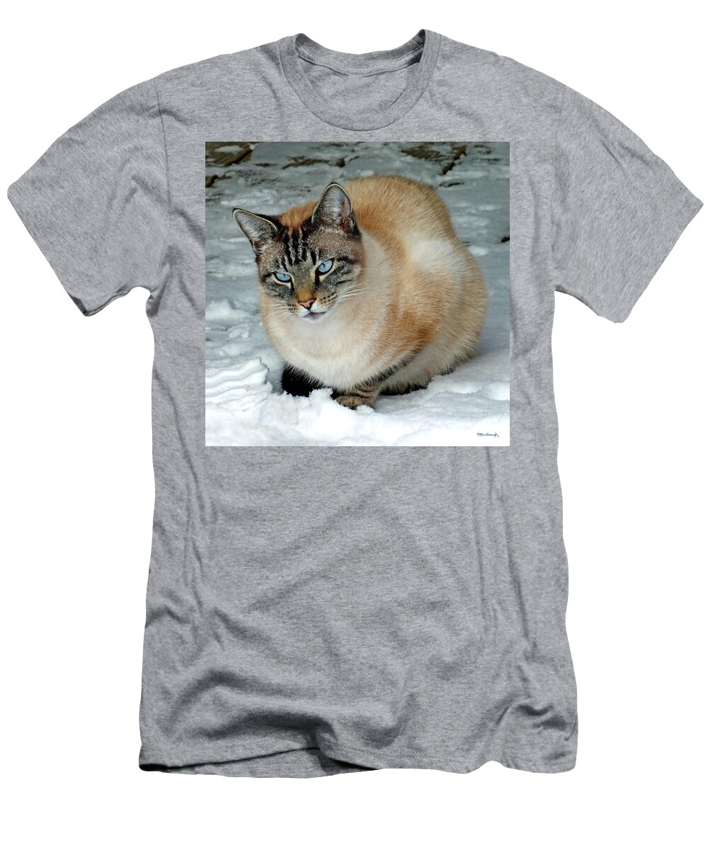 Duane Mccullough T-Shirt featuring the photograph Zing the Cat on the Porch in the Snow 2 by Duane McCullough