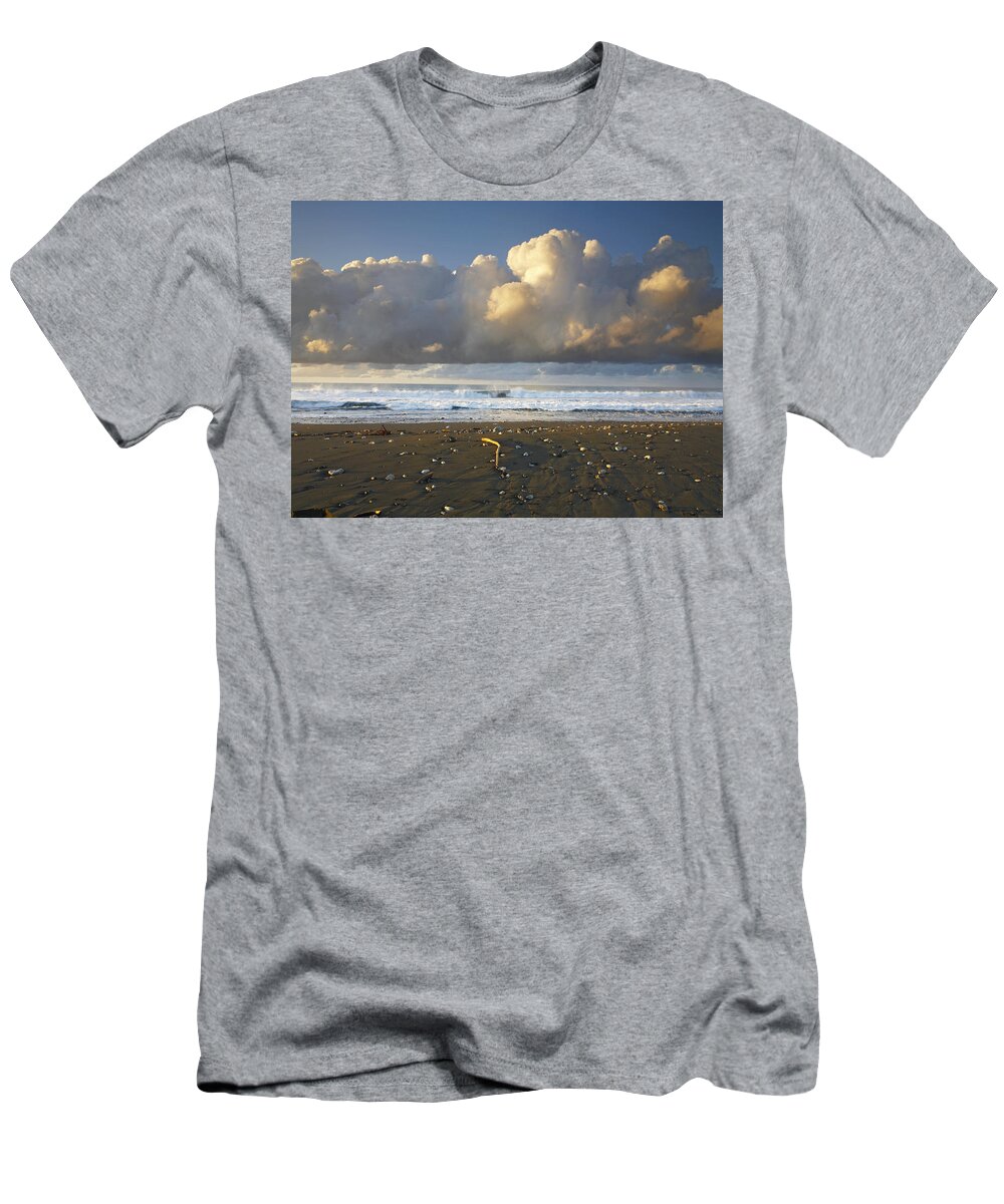 00176965 T-Shirt featuring the photograph Beach And Waves Corcovado National Park #1 by Tim Fitzharris