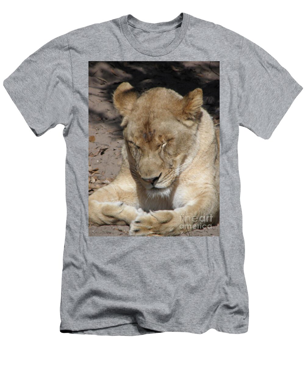 Lioness T-Shirt featuring the photograph Lioness #2 by Kim Galluzzo