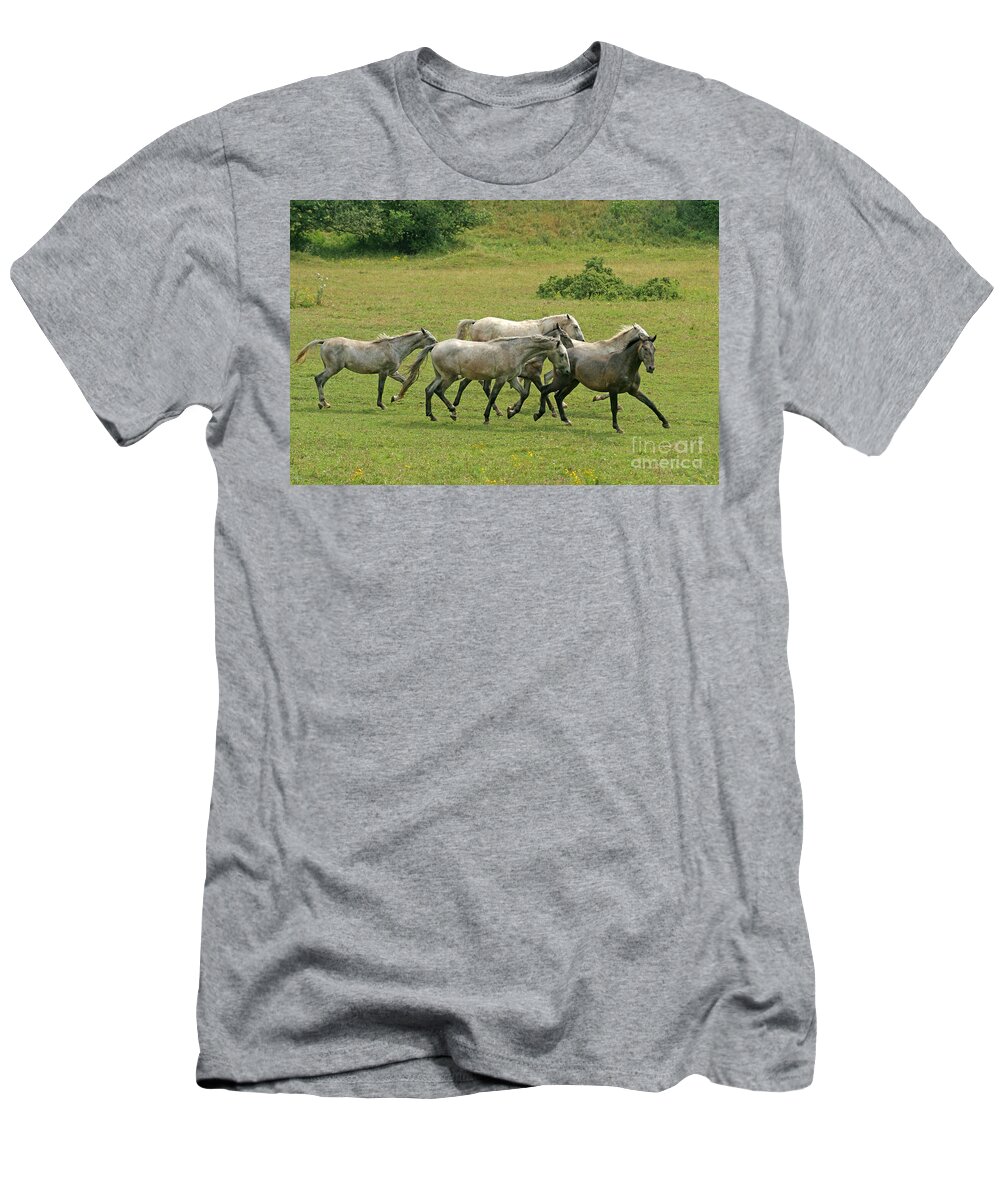  T-Shirt featuring the photograph Lipizzan Horses #3 by Ang El