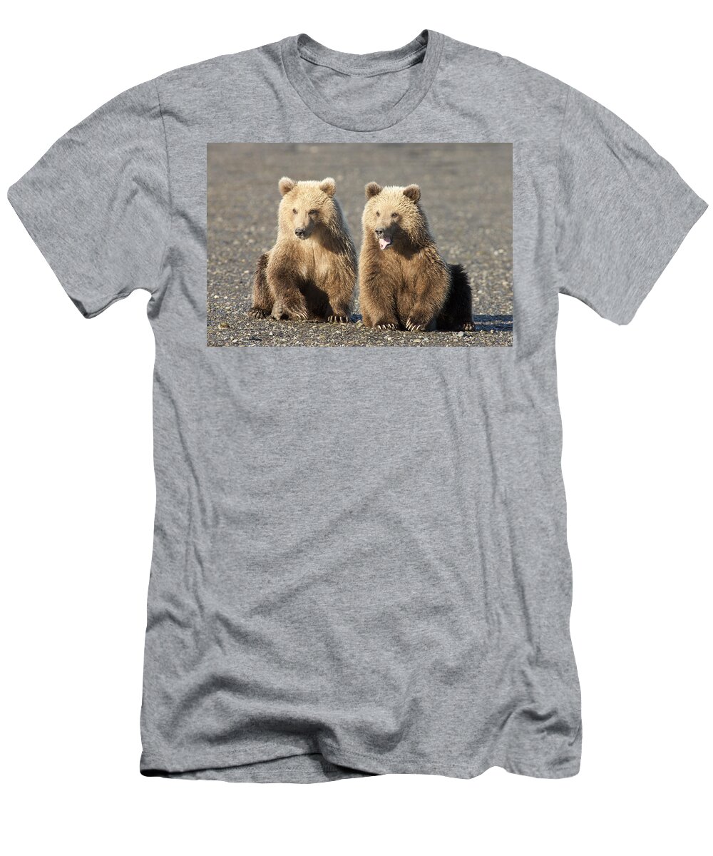 Mp T-Shirt featuring the photograph Grizzly Bear Ursus Arctos Horribilis #5 by Matthias Breiter