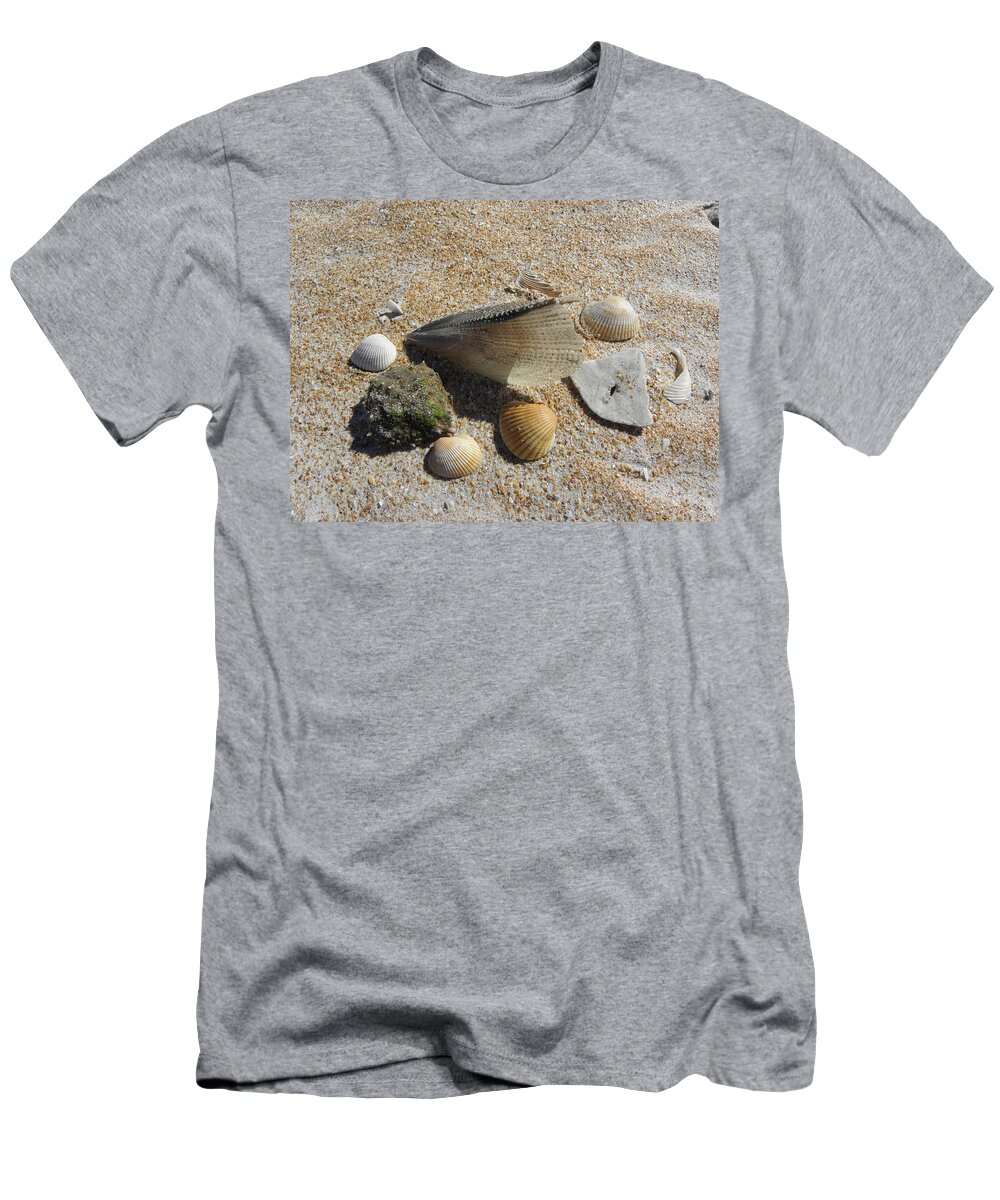 Sea Shells T-Shirt featuring the photograph A Collection Of Beach Nature by Kim Galluzzo