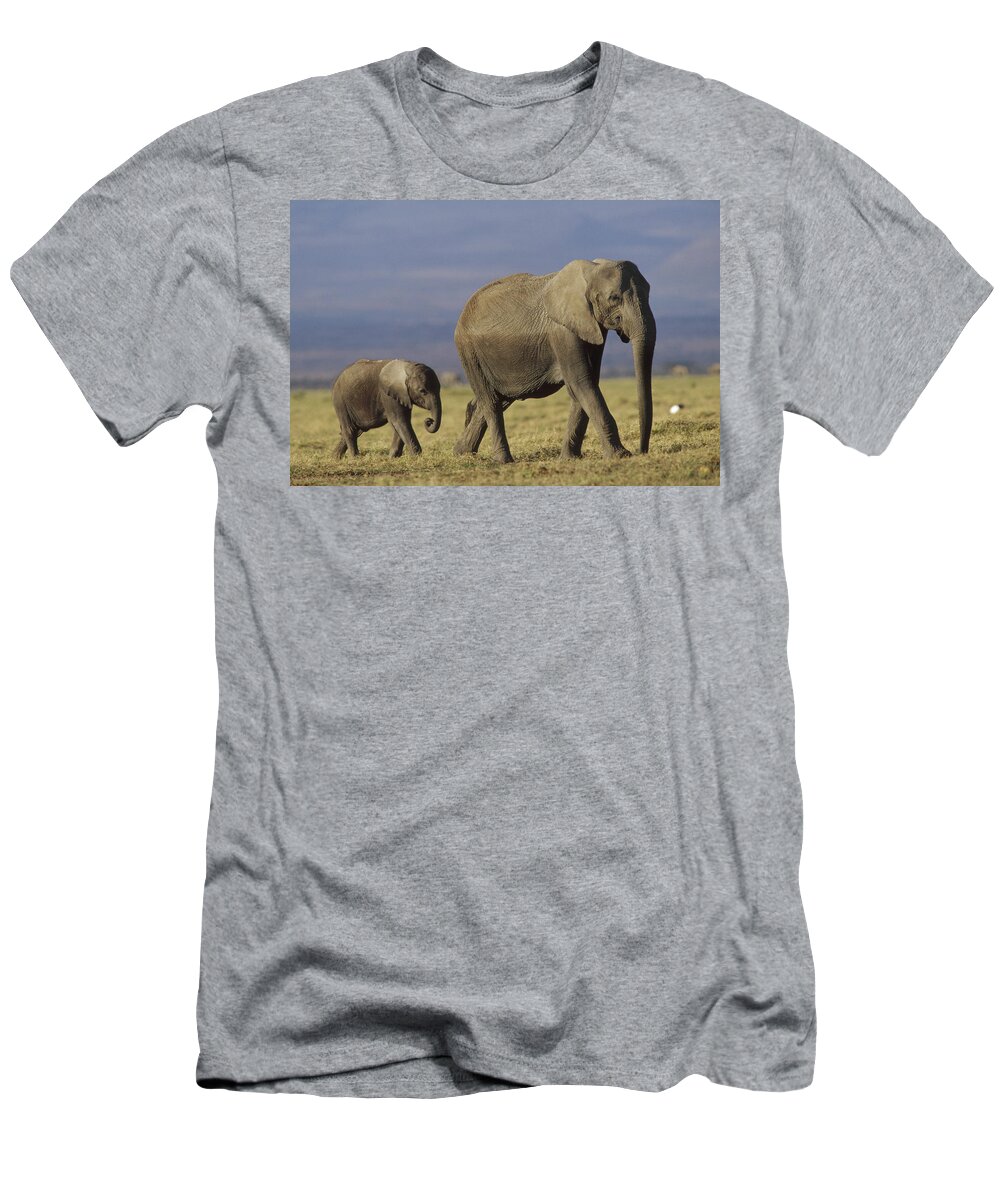 00172014 T-Shirt featuring the photograph African Elephant Mother Leading Calf by Tim Fitzharris