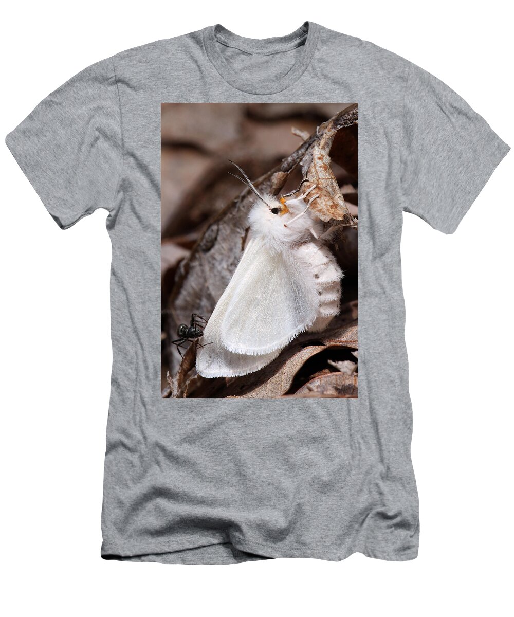 Spilosoma Congrua T-Shirt featuring the photograph Agreeable Tiger Moth With Ant by Daniel Reed