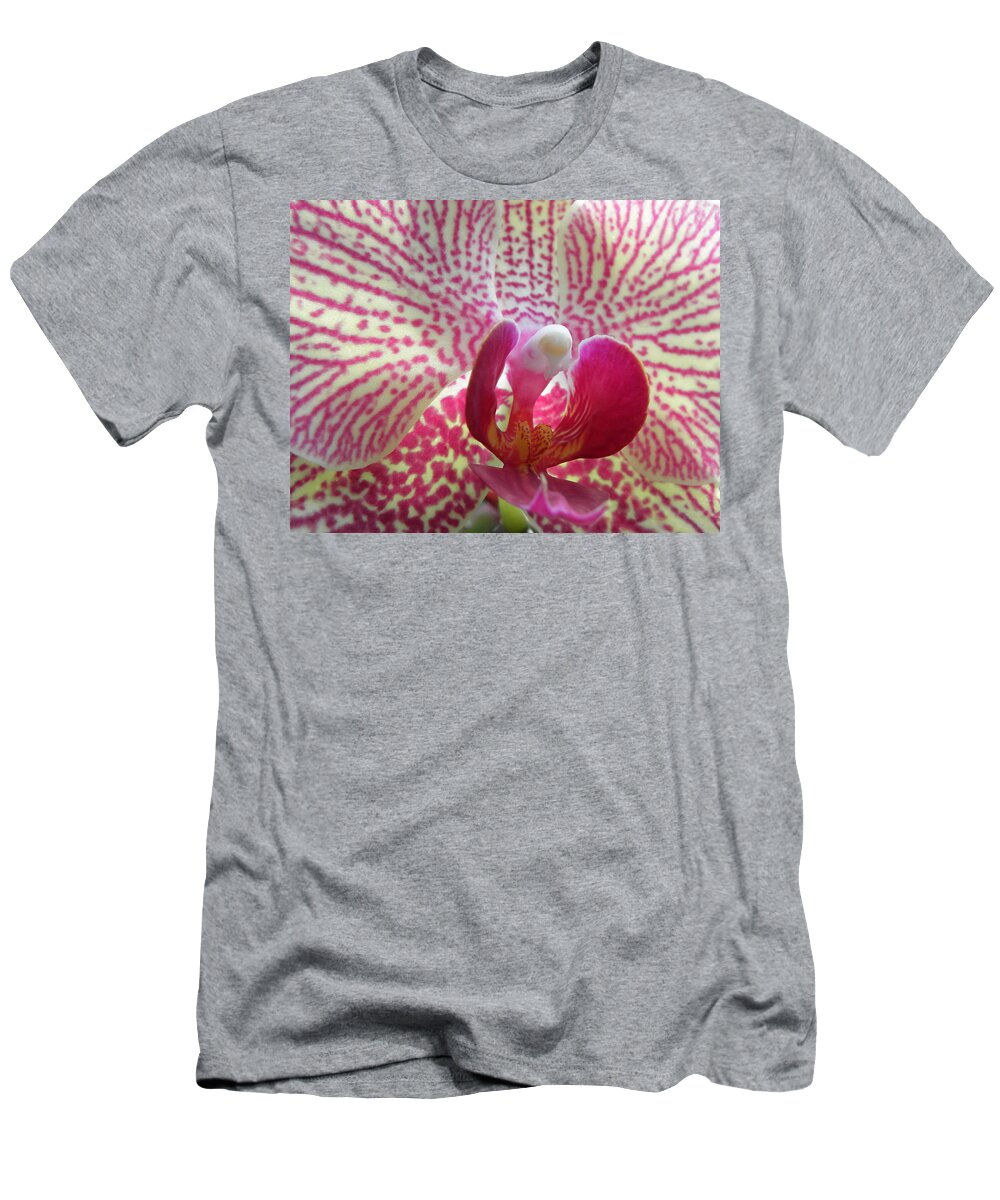 Orchid T-Shirt featuring the photograph Alluring Orchid by Kim Galluzzo