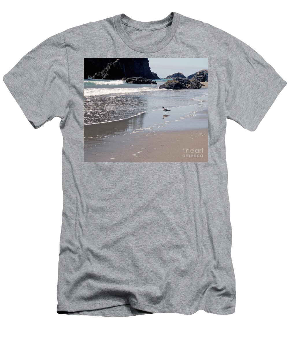 Trinidad T-Shirt featuring the photograph Beachcomber by Sharon Elliott
