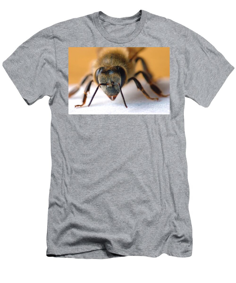 Bee T-Shirt featuring the photograph Bee in Macro 4 by Micah May