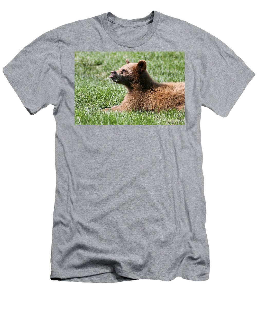 Animal. Wildlife T-Shirt featuring the photograph Black Bear Cub I by Teresa Zieba