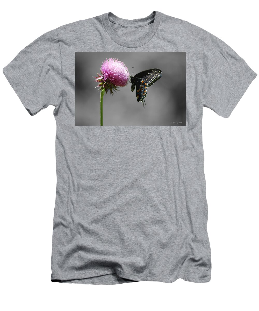 Black Swallowtail T-Shirt featuring the photograph Black Swallowtail and Thistle by Susan Stevens Crosby