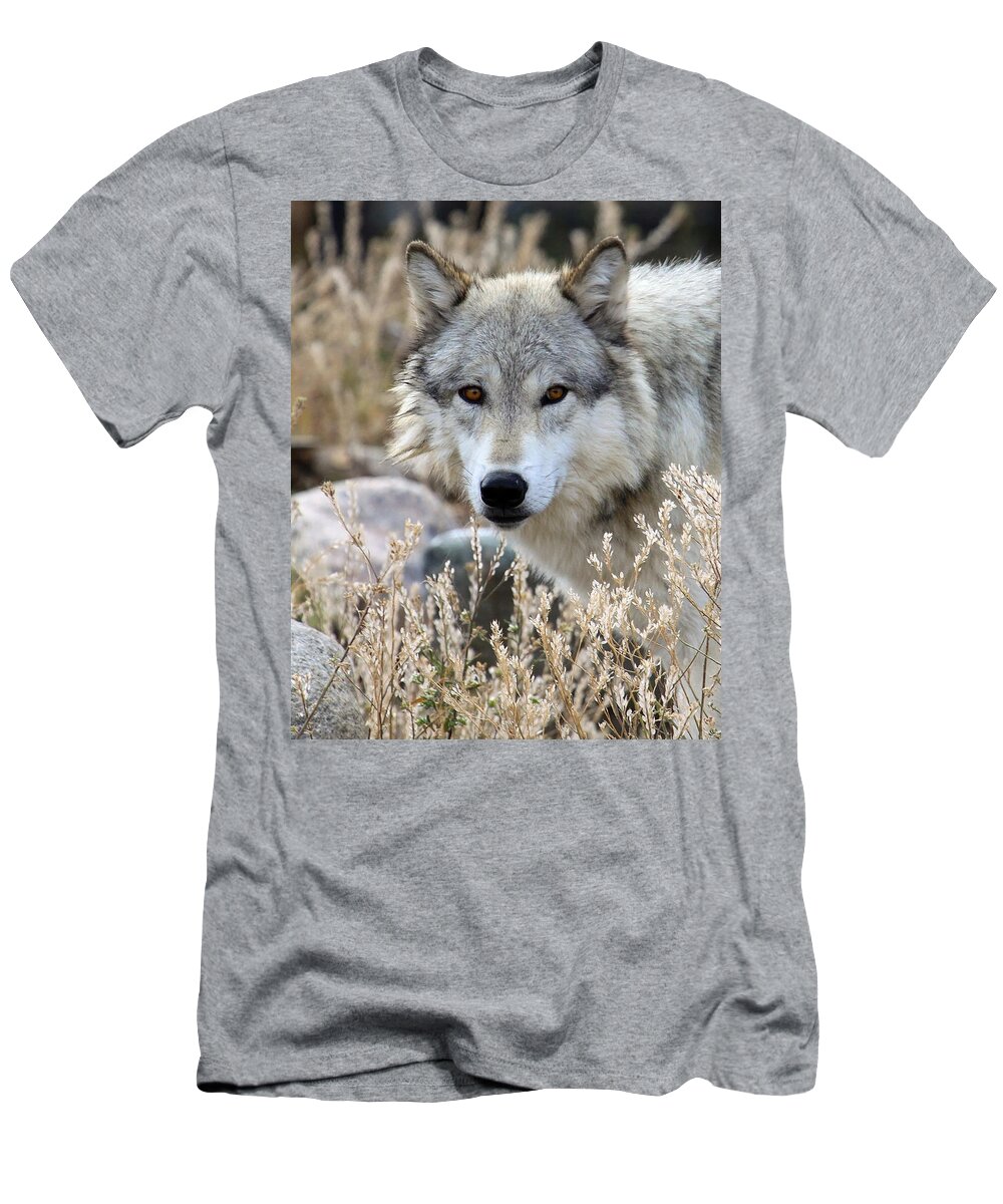 Wolf T-Shirt featuring the photograph Blending Wolf by Steve McKinzie