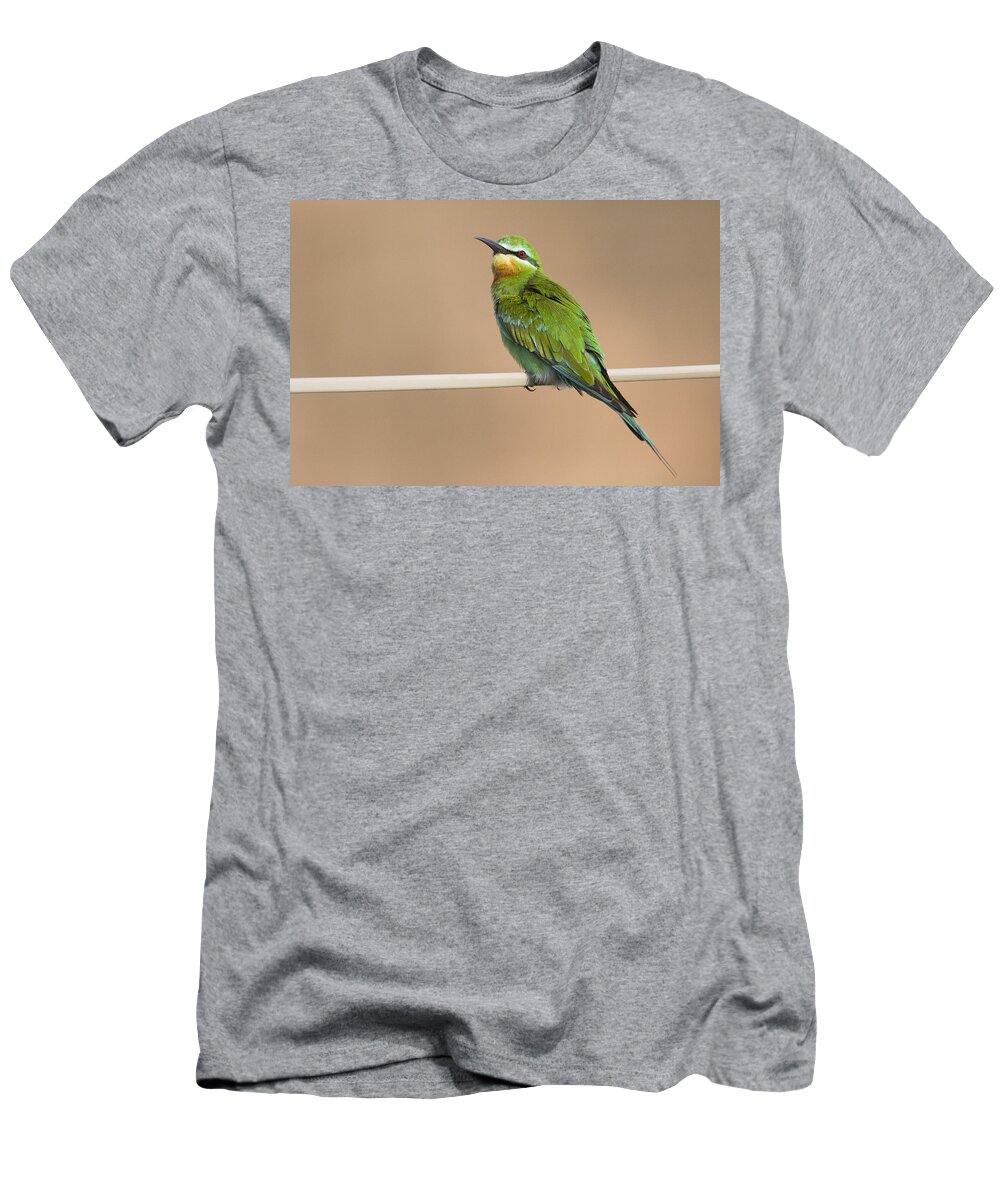 00481394 T-Shirt featuring the photograph Blue Cheeked Bee Eater Hawf Protected by Sebastian Kennerknecht