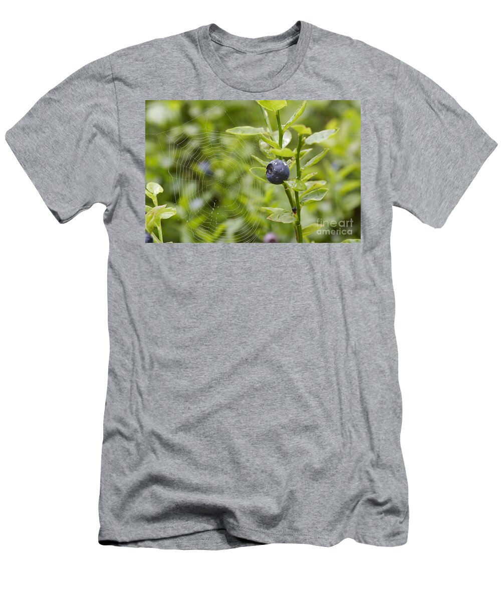 Blueberry T-Shirt featuring the photograph Blueberry Shrubs And Spider Web by Michal Boubin