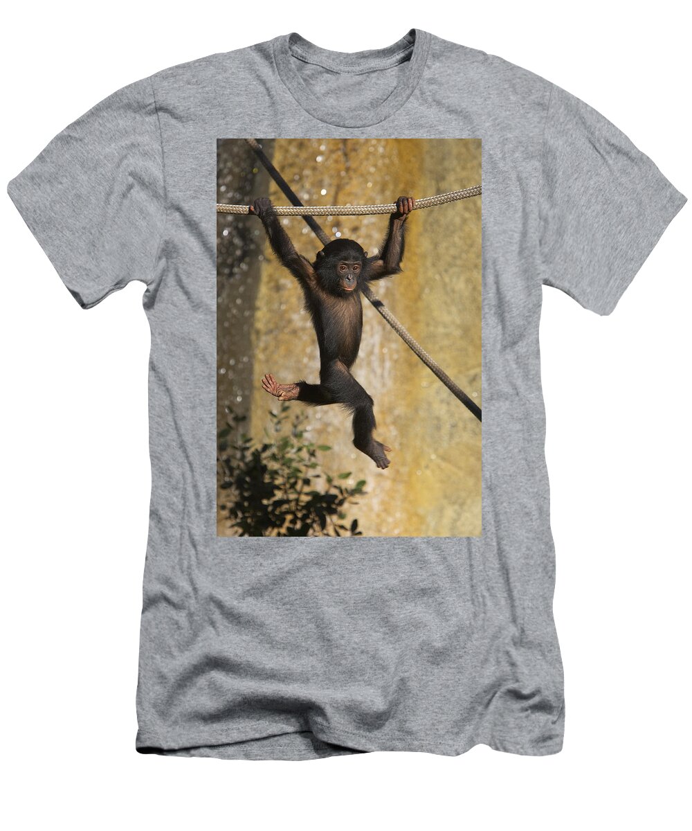 Baby T-Shirt featuring the photograph Bonobo Pan Paniscus Baby Playing by San Diego Zoo