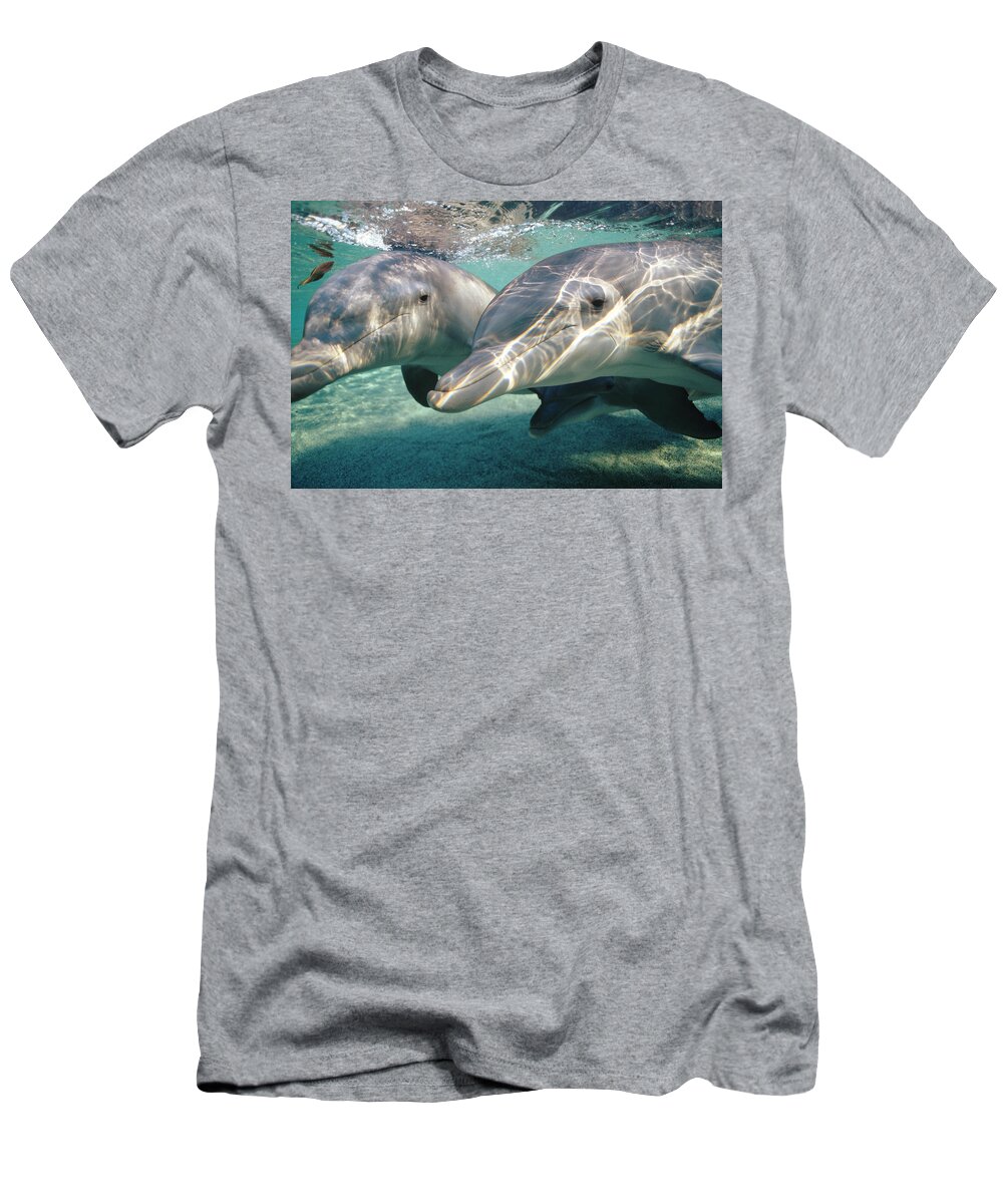 00087645 T-Shirt featuring the photograph Bottlenose Dolphin Underwater Pair by Flip Nicklin