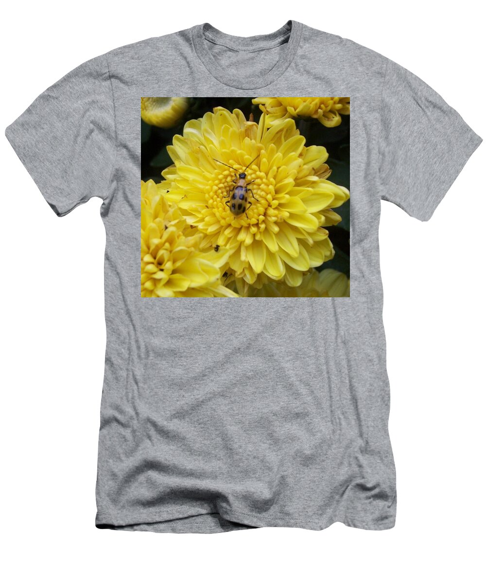 Fall T-Shirt featuring the photograph Bug on Mum by Richard Bryce and Family