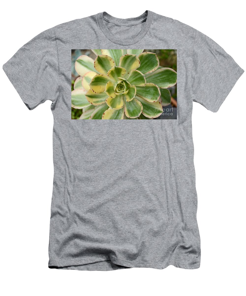 Cactus T-Shirt featuring the photograph Cactus 63 by Cassie Marie Photography