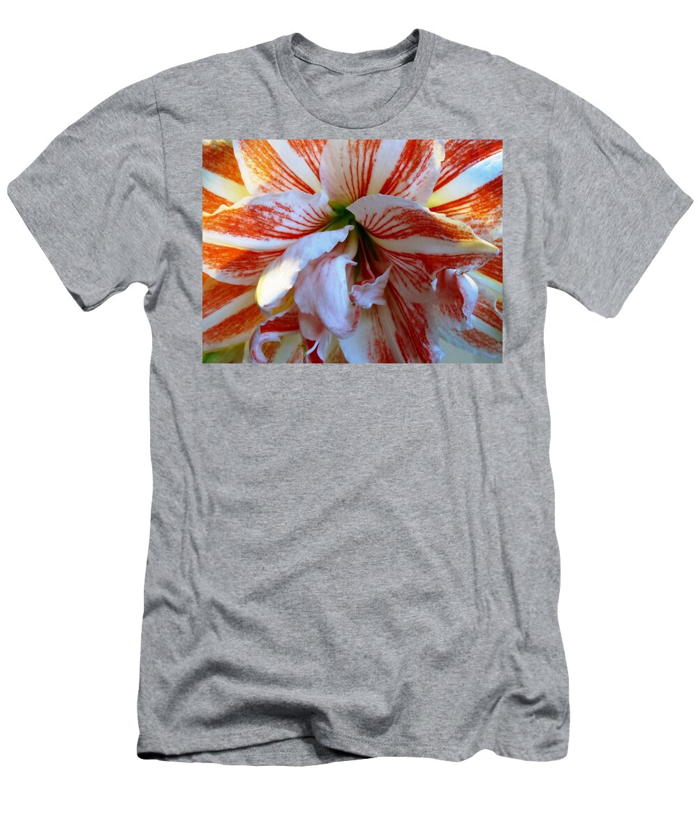 Amaryllis T-Shirt featuring the photograph Candy Striper by Carol Allen Anfinsen