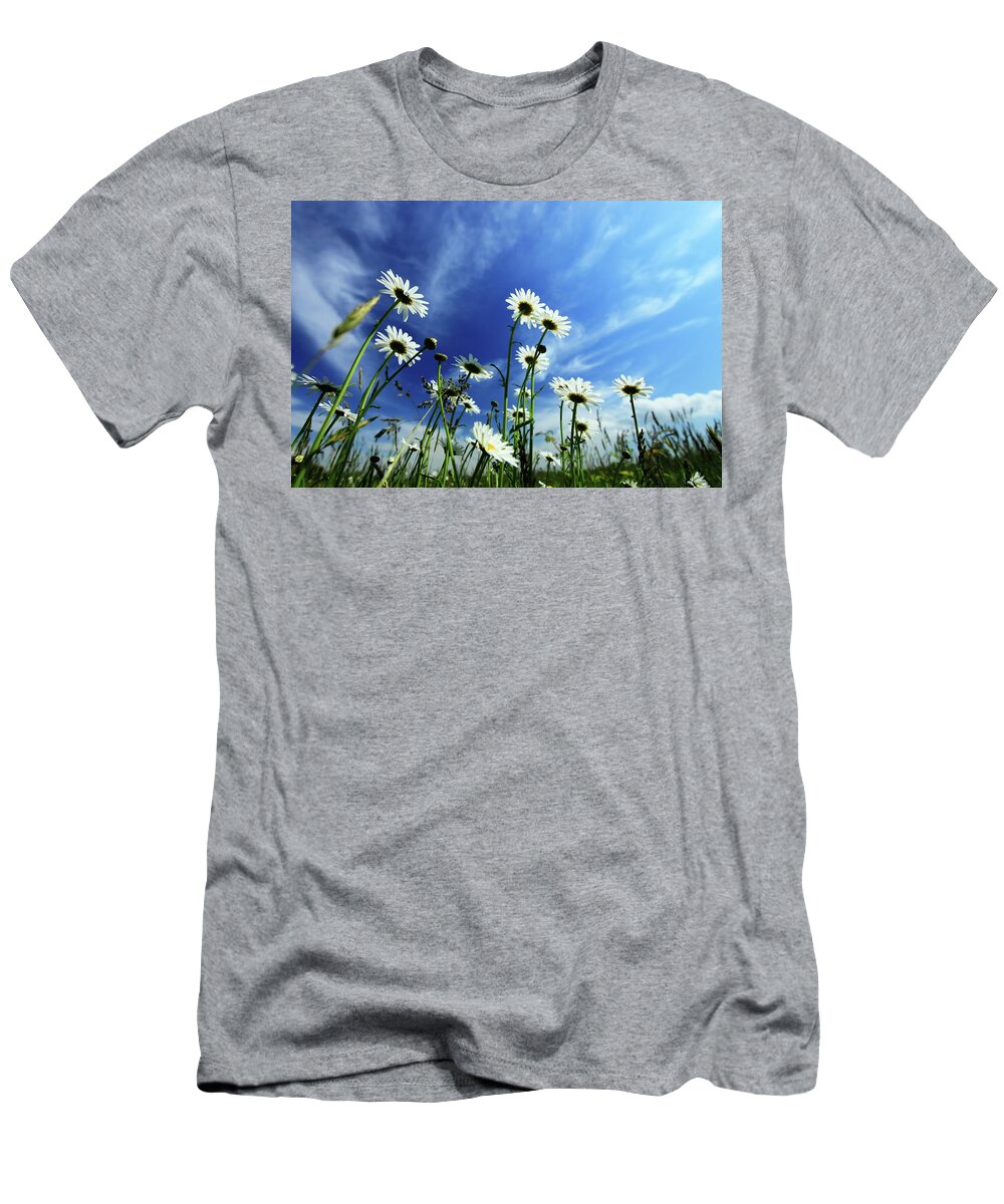 Daisy T-Shirt featuring the photograph Cape Cod Summer by Rick Berk