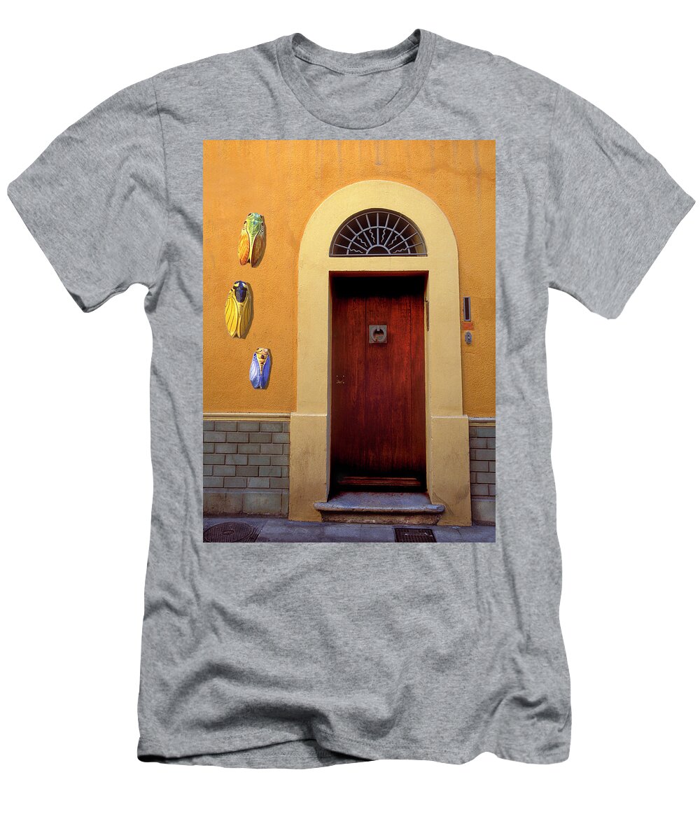 Cicada T-Shirt featuring the photograph Cicada Door Arles France by Dave Mills