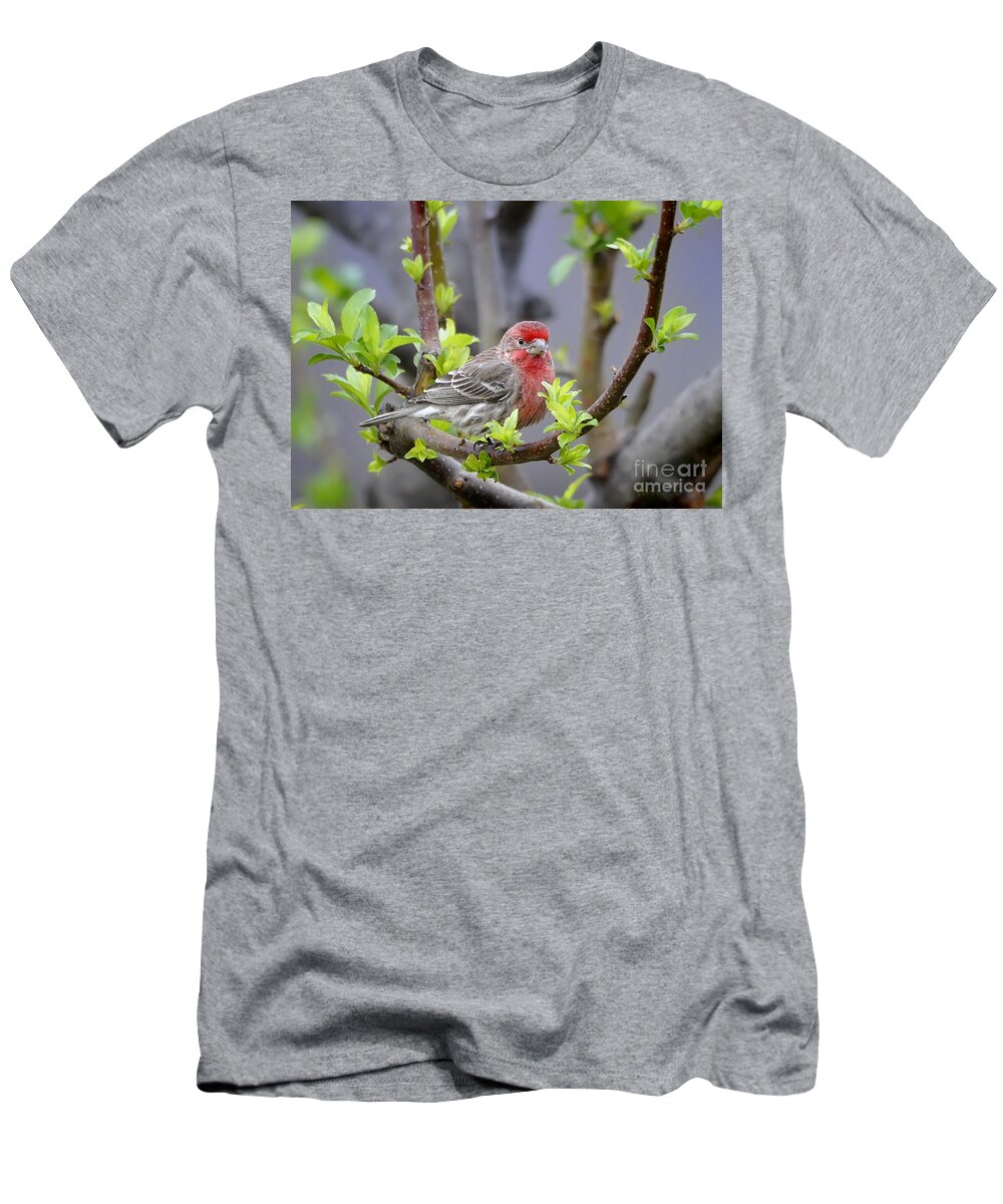 Nature T-Shirt featuring the photograph Content by Nava Thompson