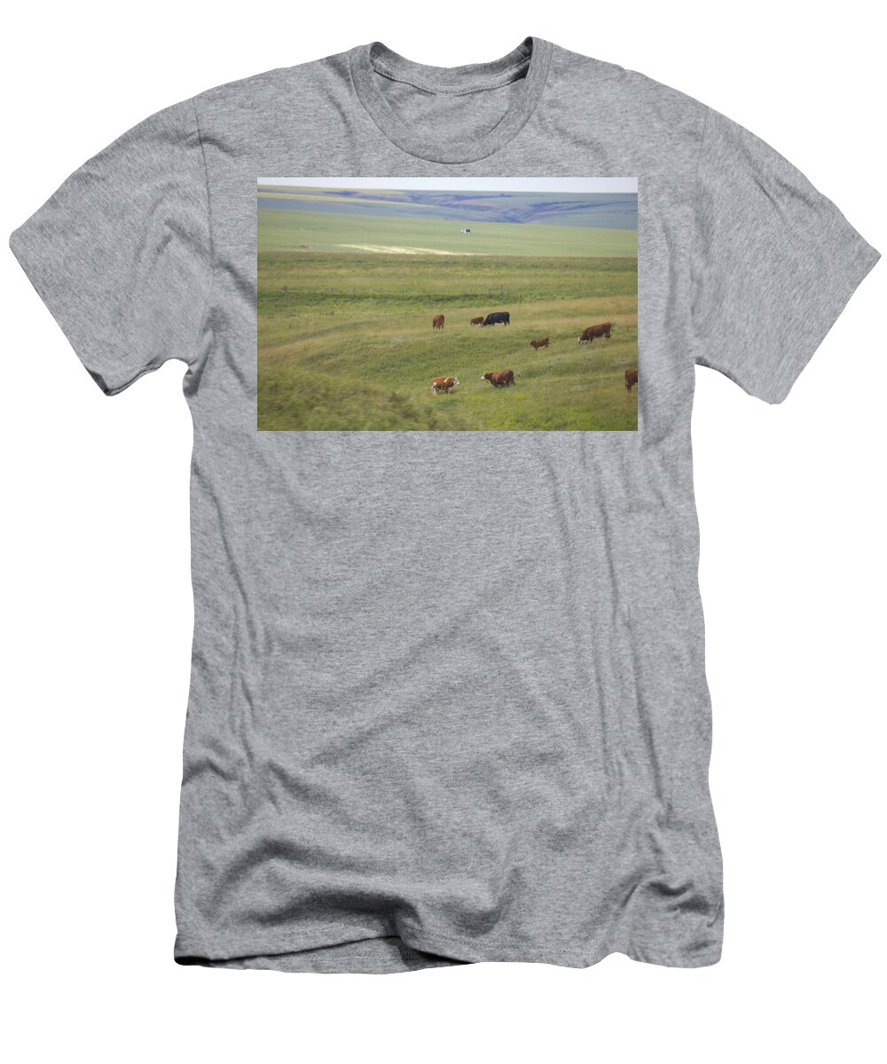 Landscape T-Shirt featuring the photograph Cow Herds and Country by Donna L Munro