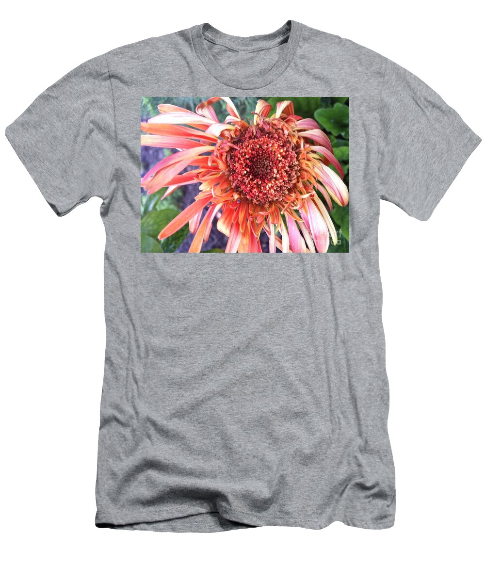 Red Flower T-Shirt featuring the photograph Daisy in the Wind by Vonda Lawson-Rosa